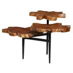 Mueble de TV de 2 puertas y 2 estantes - 54Wx17Dx19H