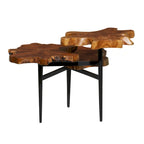 Mueble de TV de 2 puertas y 2 estantes - 54Wx17Dx19H